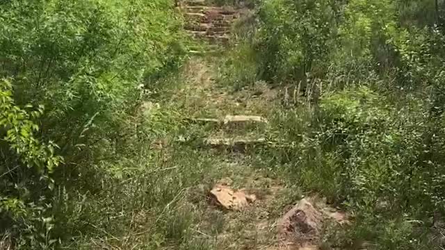 A man walking in the mountains