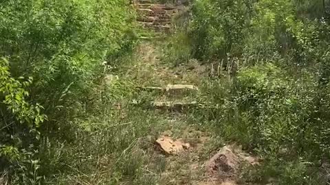 A man walking in the mountains