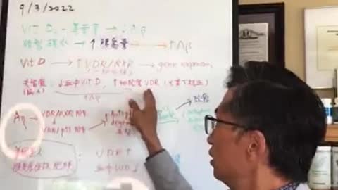 補充維生素D，可改善失智症嗎?