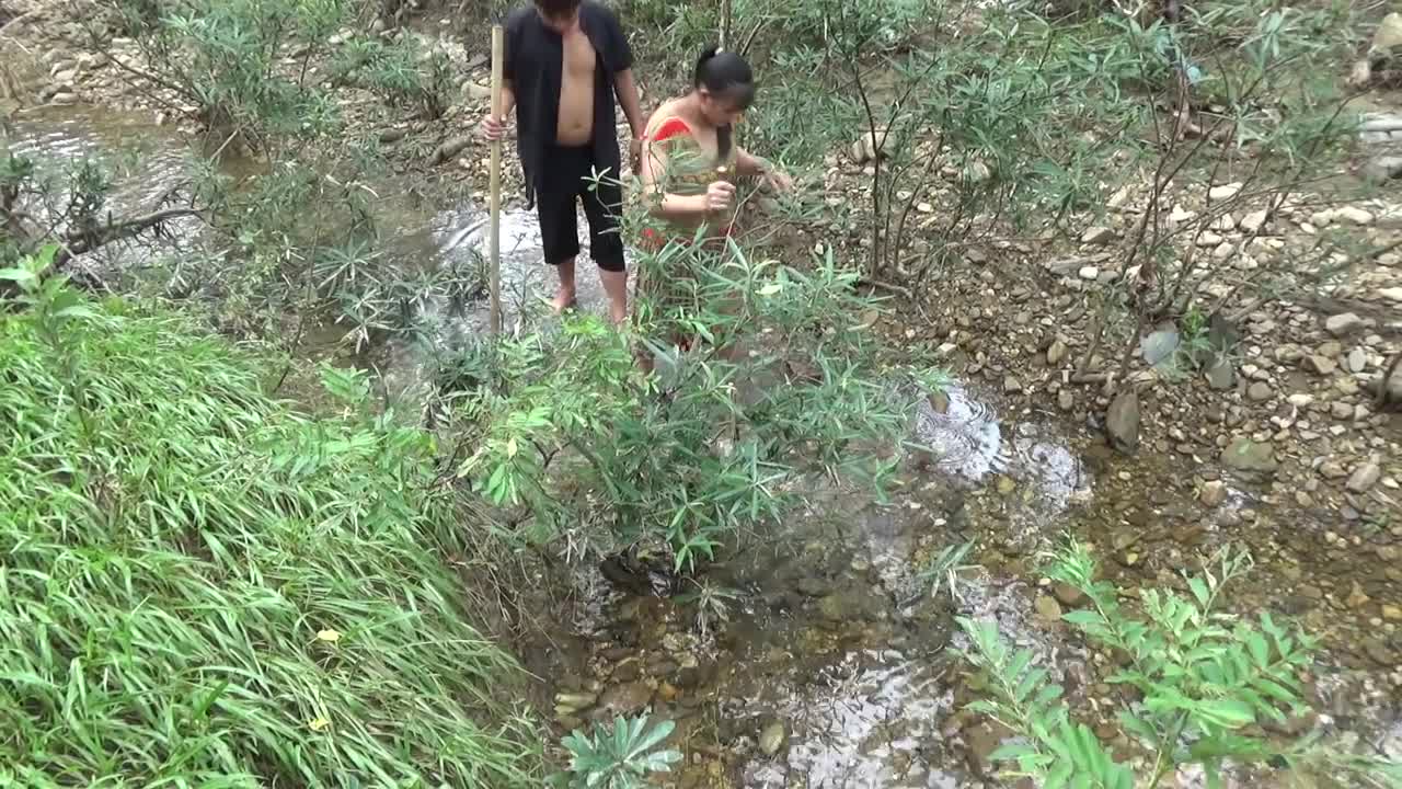 Crocodile Attacked The Girl - Primitive Skills Catch Crocodile By Hand To Survive