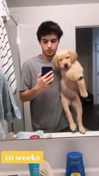 Watch this puppy grow