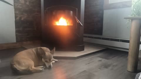 BUSTER LIVIN HIS BEST LIFE