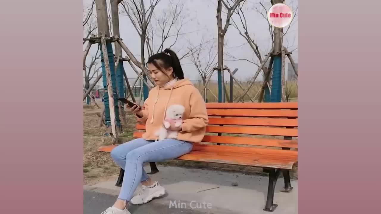 Tik Tok Chó Phốc Sóc Mini...