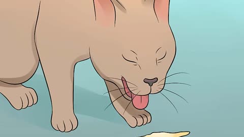 HOW TO HELP YOUR DEPPRESSED CAT