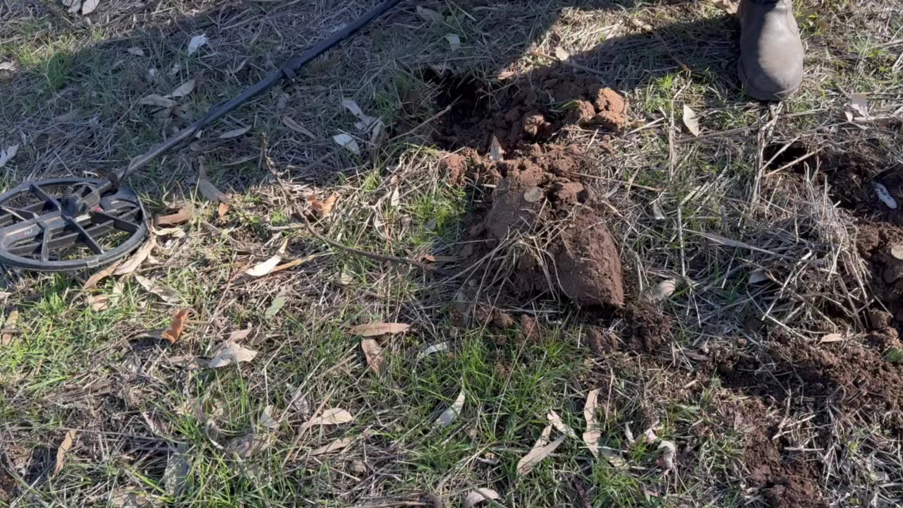 Smashing The Honey Hole With Minelab Metal Detectors