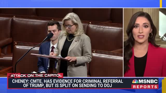 Rep. Cheney: Jan. 6 Committee Has Enough Evidence To Refer Trump For Criminal Charges