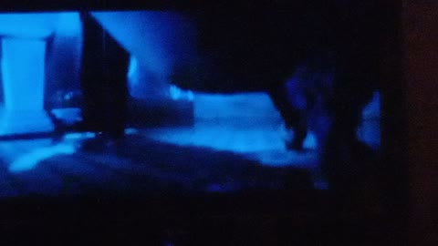 FEAR DOT COM NOT A VIRUS