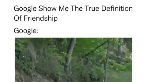 True. Friendship.