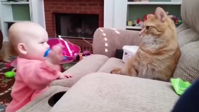 Kids Vs Cat Funny Moment