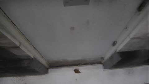 0921USCG00HT18Exterior_2021-01-06_08h20min01s593ms.mp4