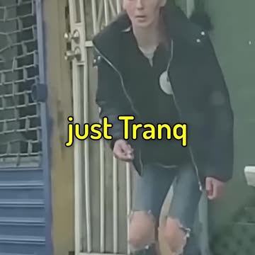 Failed border & democrat policies have created zombies