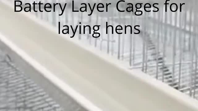 Labor Saving Kenya Poultry Farm Chicken Battery Layer Cages for laying hens