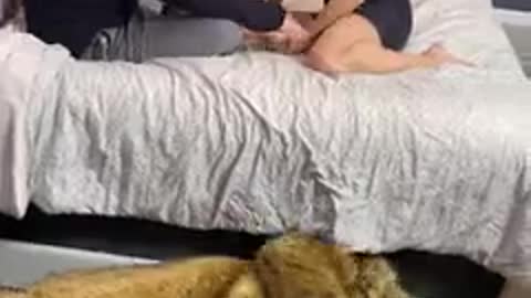 HOT wife caught cheating!