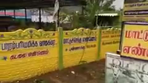 Traditional peanut oil in India Now while watching this clip