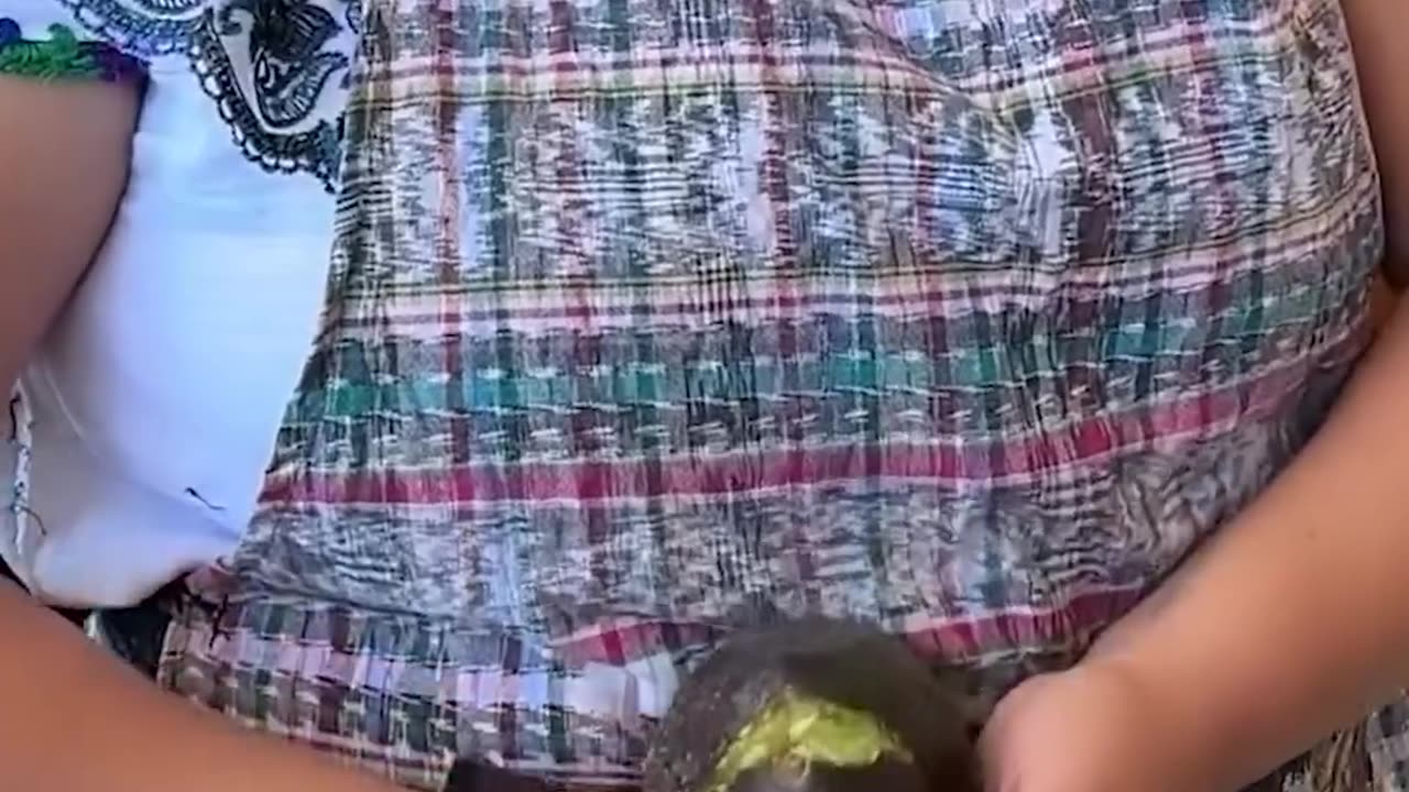 Avocado Trick