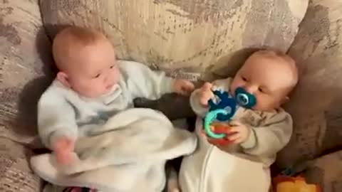 Funny Twin Babies