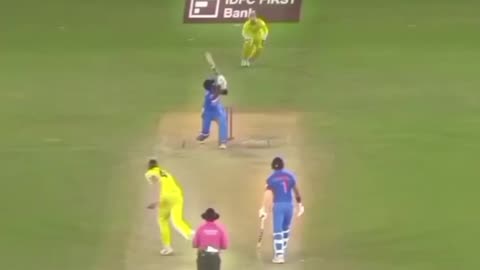 Cricket Highlight Shorts