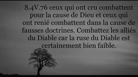 Ahmed [Moualek] : Que Dieu Bénisse ceux et celles qui combattent pour que la justice triomphe !