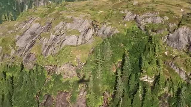 Seaplane flying over Fjords