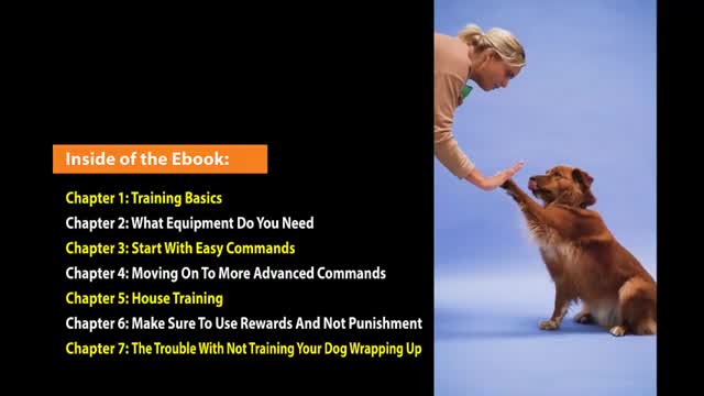 Dog 🐕 training tips and tricks