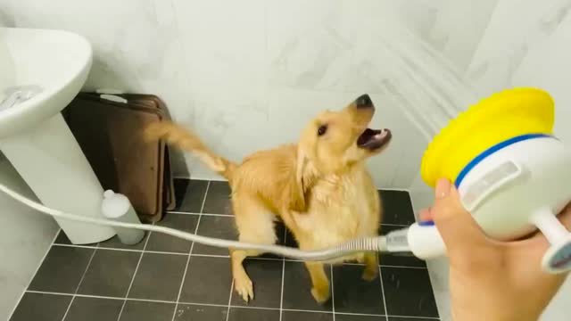 I don't like taking a shower, but I like playing in the water.