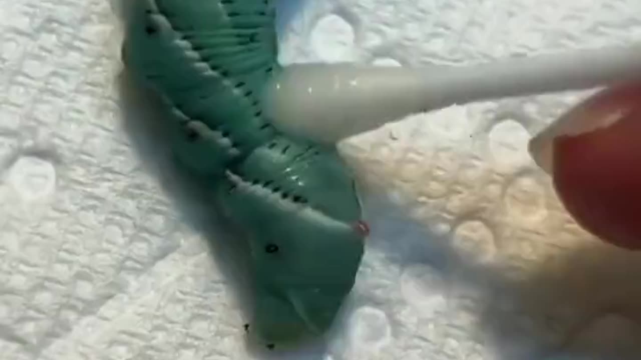 You Thought He Was Helping