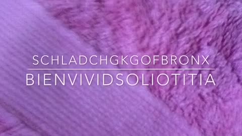 Schladchgkgofbronx - Bienvividsoliotitia