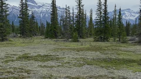 Peaceful Rockies