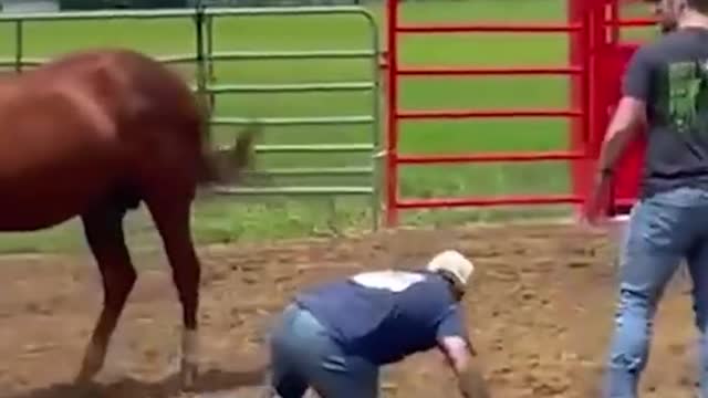 Vídeo engraçado