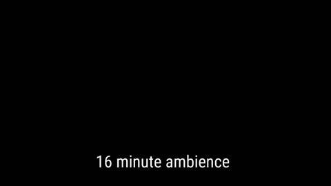 Frederick Miller Jr, XIXVIMM - 16 minute ambience