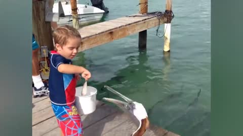 Babies play fish for the first time