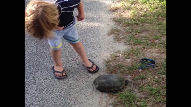 Kid picking up turtle gets a surprise