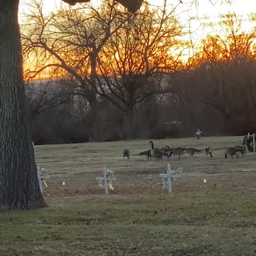 #MurphDocU: #drivinglessons for our #grandson