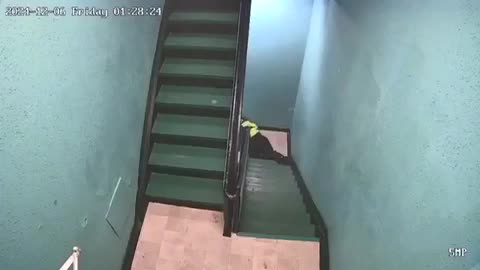 Edmonton Security Guard Murdered.