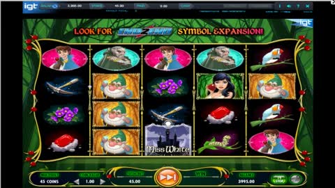 Slots Bonus Compilation Miss White IGT Slot