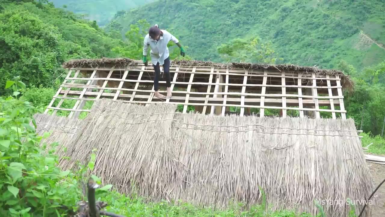 Cut grass and dry it to build a thatched roof - Build a farm house