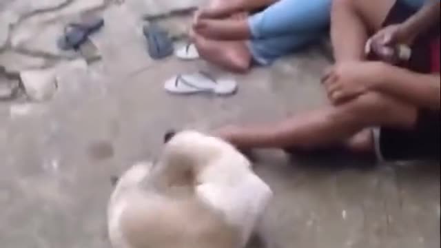 man moves the dog's tail he turns without to kkkk
