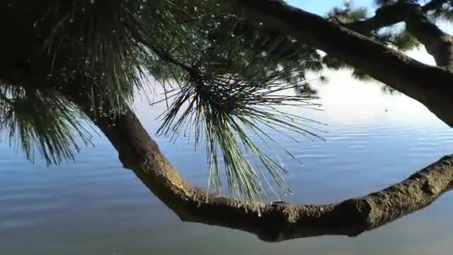 Inverness, Tomales Bay, Point Reyes National Seashore