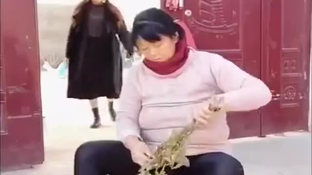 Funny Videos Top comedy videos 2021 Try To Not launch