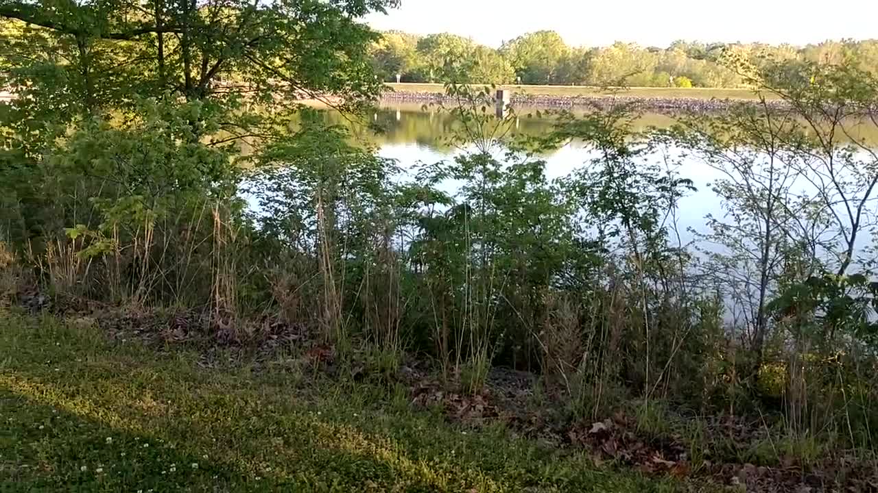 Mississippi River State Park, Marianna, Ark