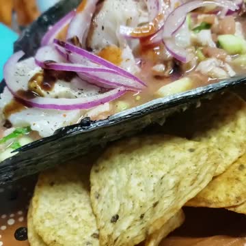 Fresh scallops in rocky point ,Mexico