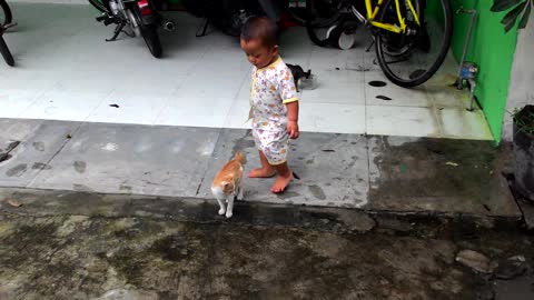 Kids playing cat videos funny