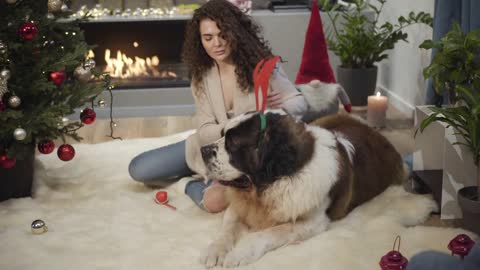 Portrait of pleasant Caucasian girl putting toy horns of deer on dog's head