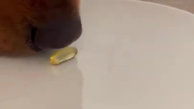 I can not believe fish oil can do this_ #shorts #lifehack