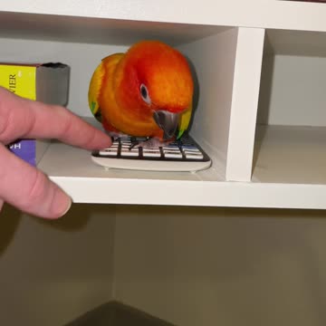 Beginning of the semester vs one week later