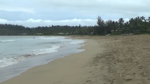 Hanalei, HI — Hanalei Beach Park #2