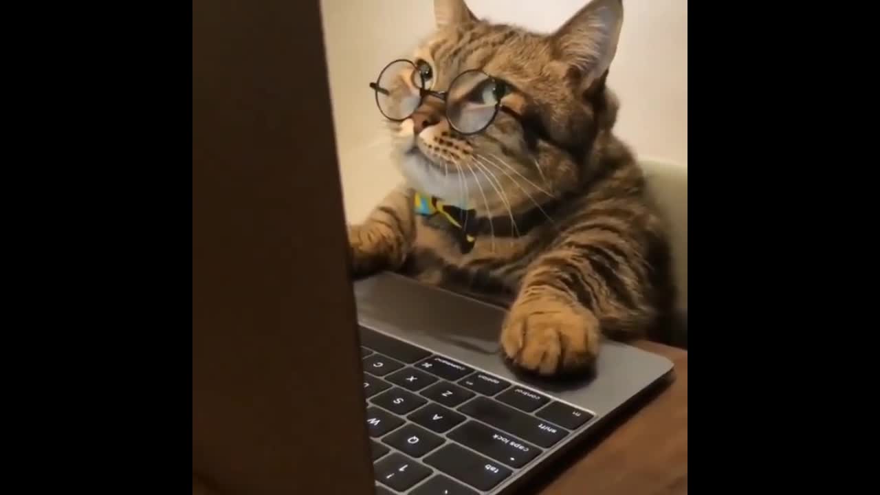 COMPUTER EXPERTS # CAT