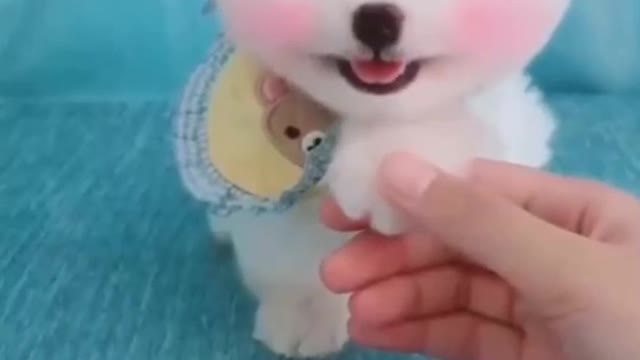 So cute dog