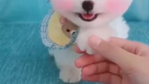 So cute dog