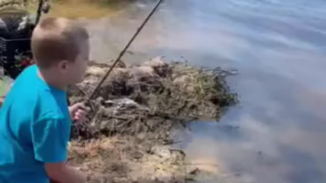 My 5 year old son catching his 1st blue catfish